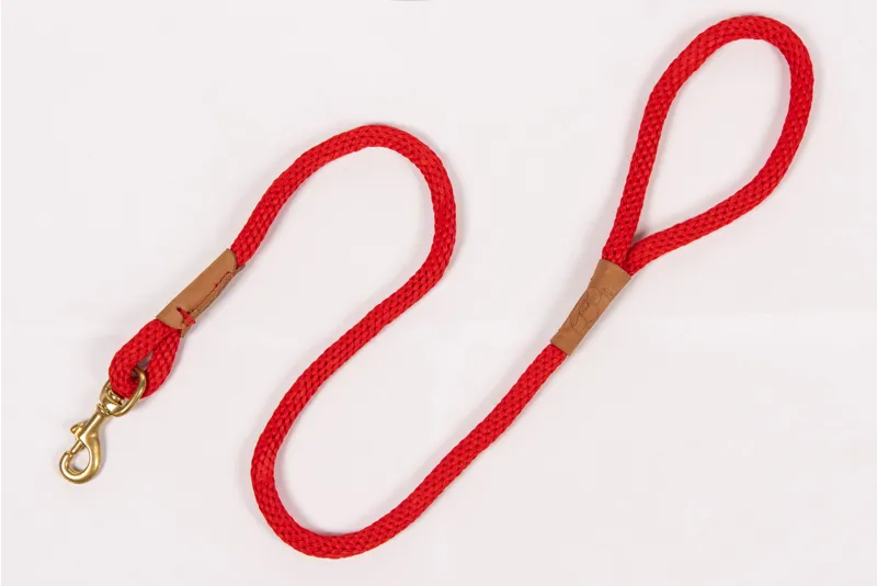 Ruff and Tumble Clip Lead - Brick Red